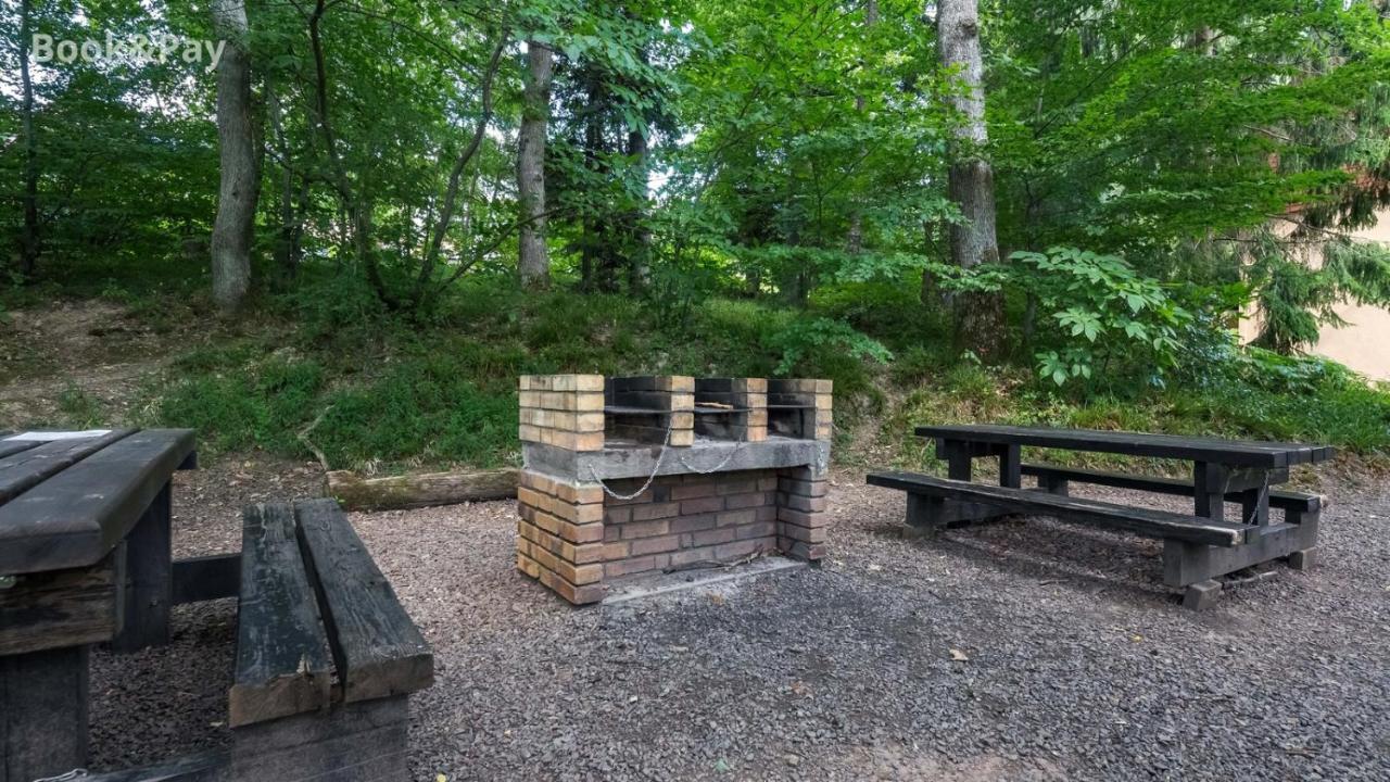 Wellholidays 19 - Balneo, Terrasse Et Piscine Partagee Boersch Екстериор снимка